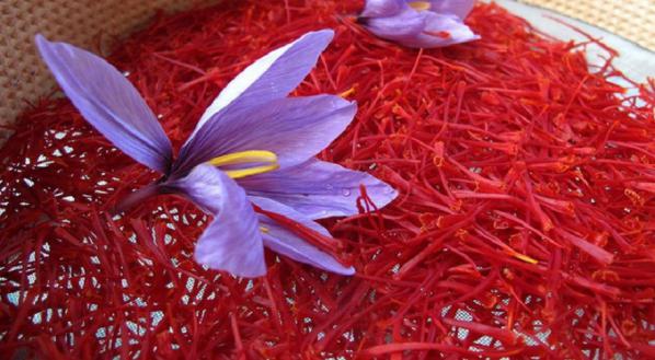 قیمت جدید زعفران برای خرید فله ای