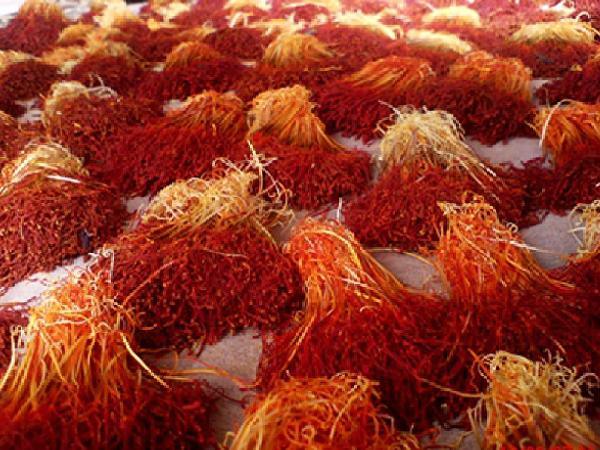قیمت عمده زعفران در بازار مشهد
